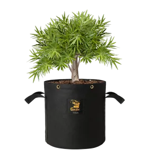 Gorilla 3 Gallon Grow Bag  (4 Pack)
