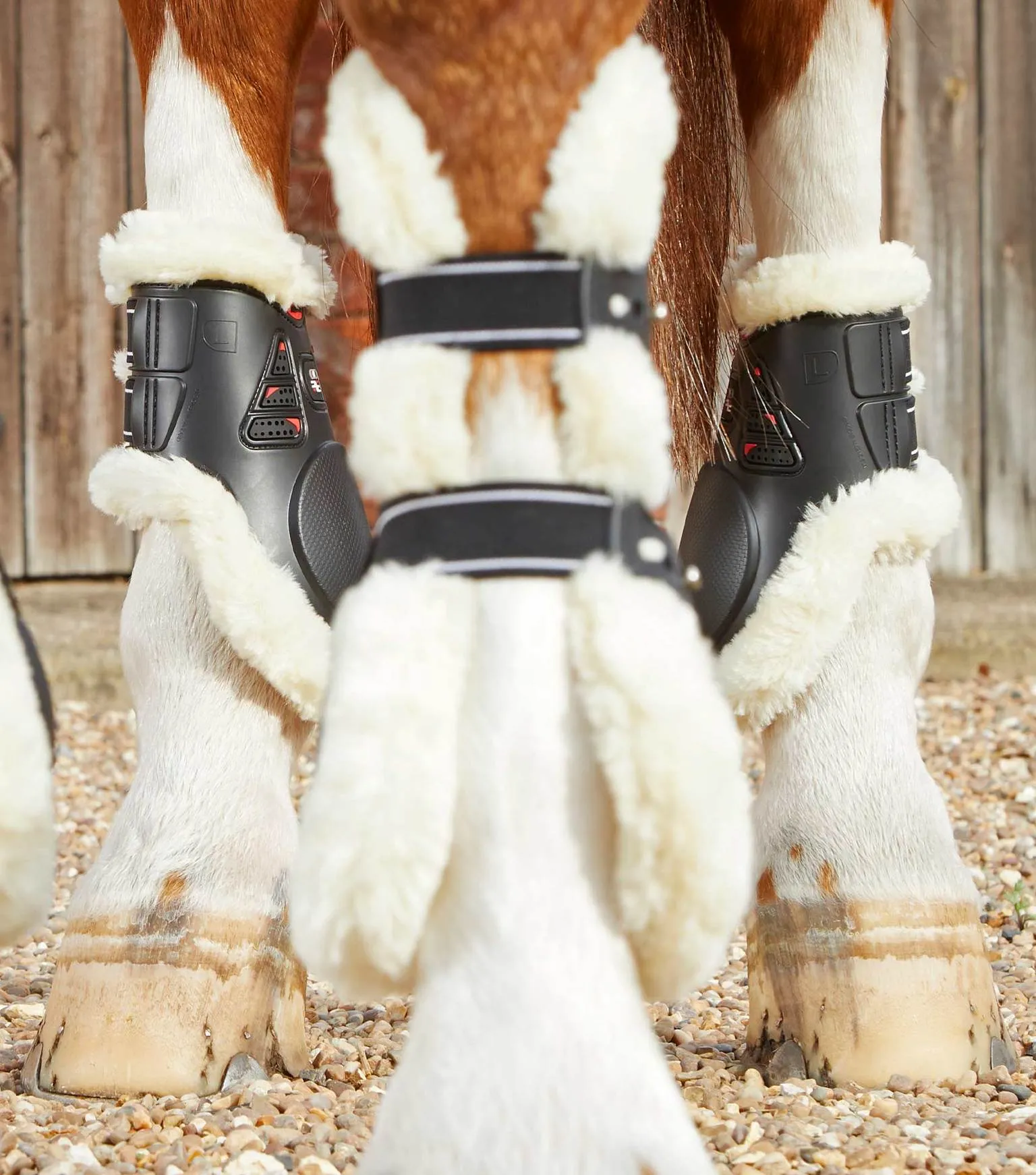 PRE ORDER Techno Wool Fetlock Boots